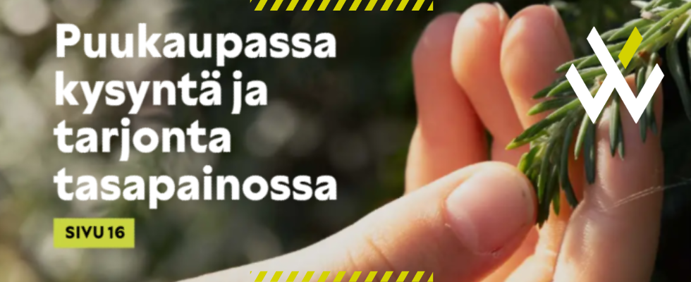 Version kapea kuva (1).png