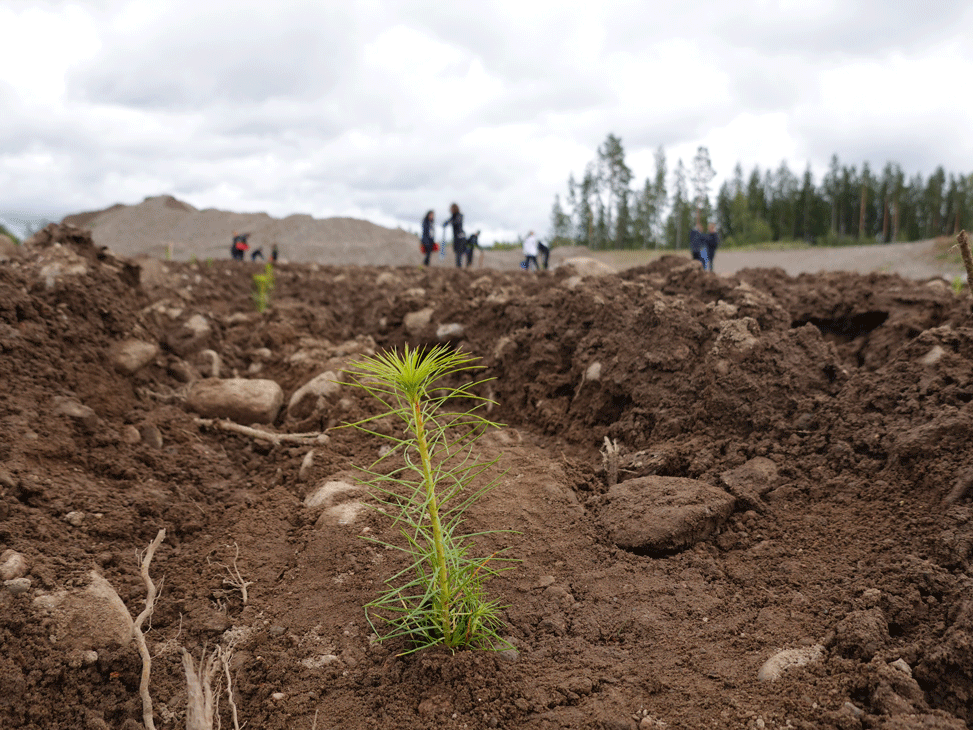 Heinola Hevossaari.png