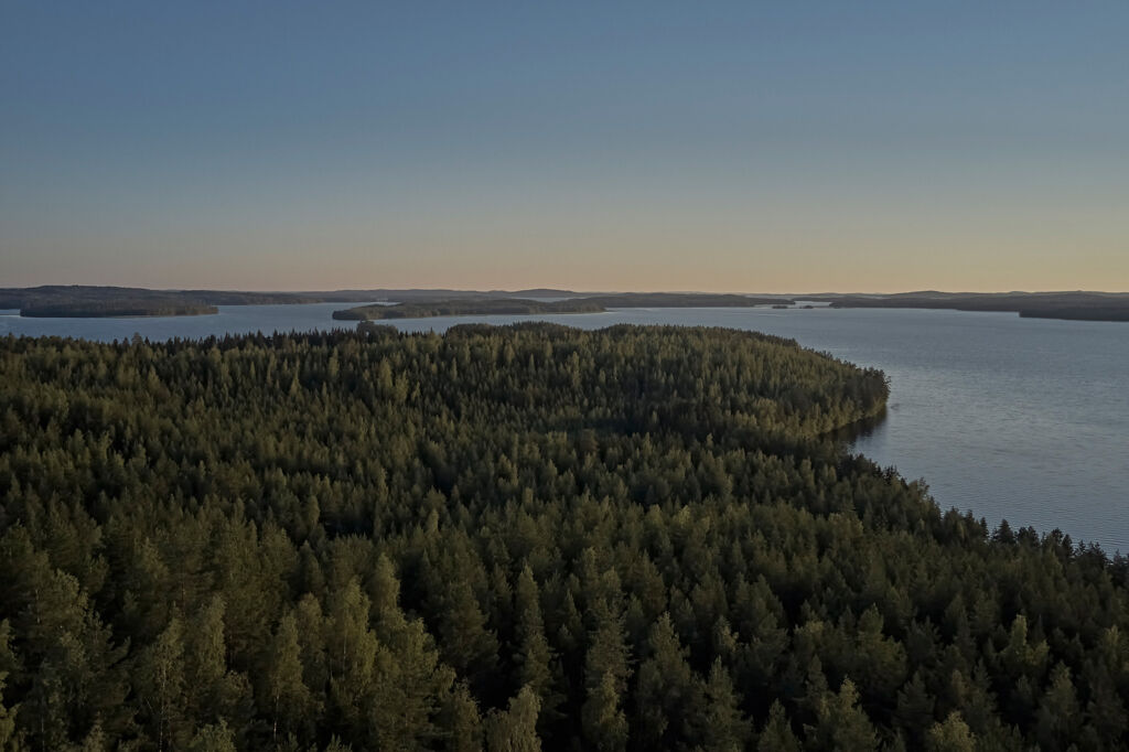 Vastuullinen metsänhoito