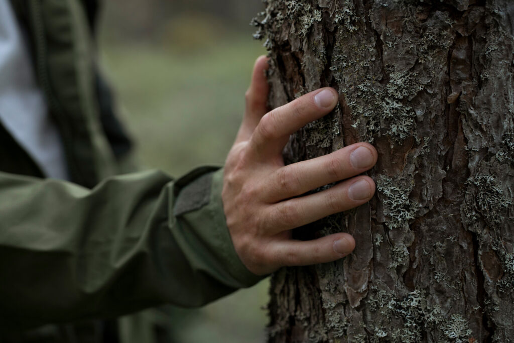 Rekisteröi metsäsi